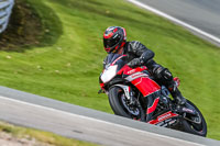 Oulton-Park-21st-March-2020;PJ-Motorsport-Photography-2020;anglesey;brands-hatch;cadwell-park;croft;donington-park;enduro-digital-images;event-digital-images;eventdigitalimages;mallory;no-limits;oulton-park;peter-wileman-photography;racing-digital-images;silverstone;snetterton;trackday-digital-images;trackday-photos;vmcc-banbury-run;welsh-2-day-enduro